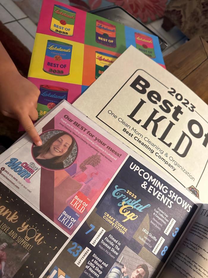 One Clean Mom LLC - Lakeland, FL