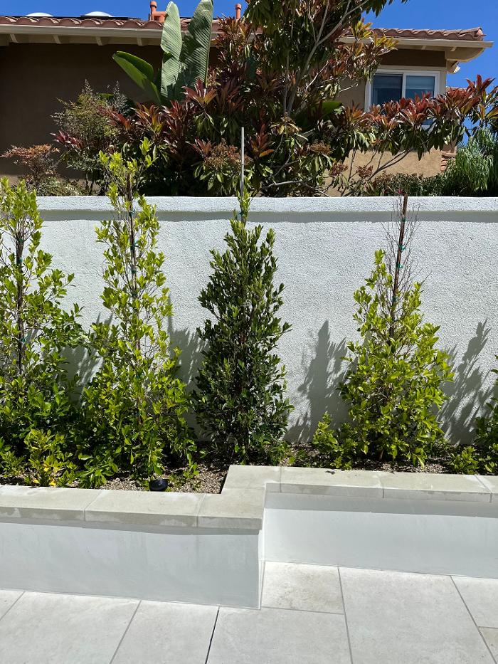 Lopez Landscaping Image