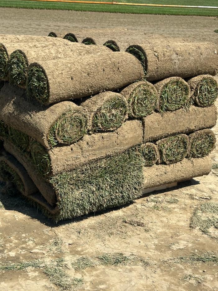 Lopez Landscaping Image