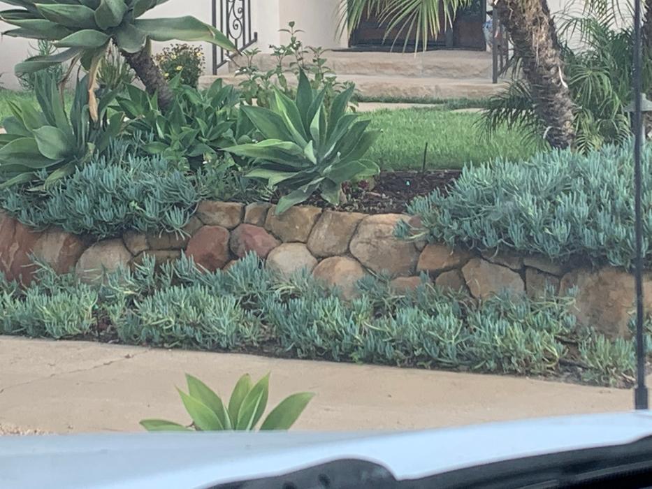 Lopez Landscaping Image