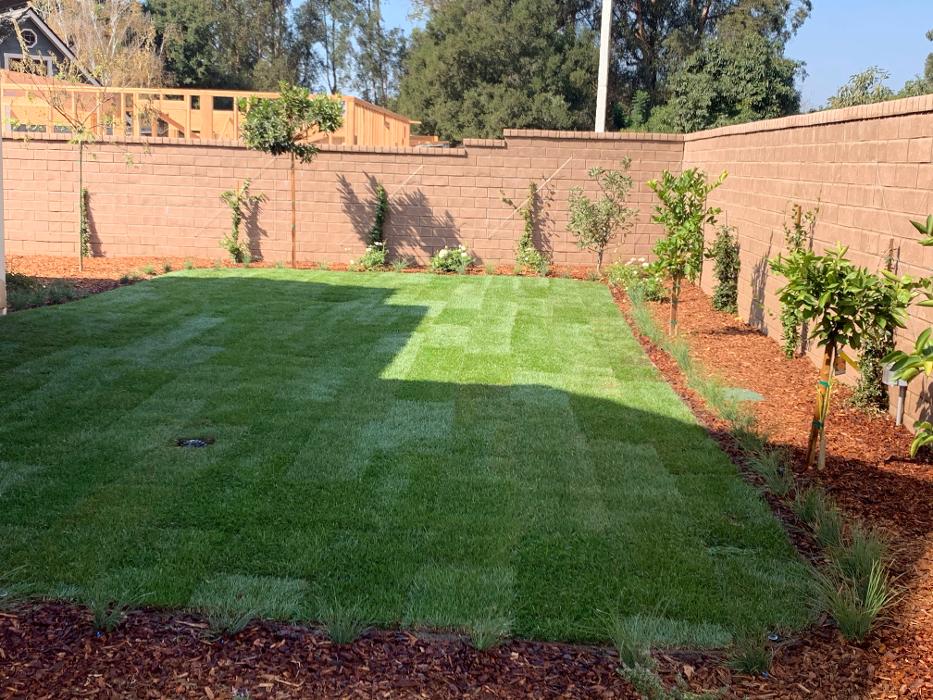 Lopez Landscaping Image