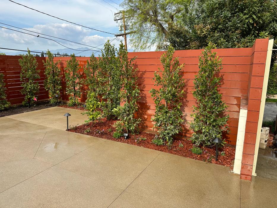 Lopez Landscaping Image