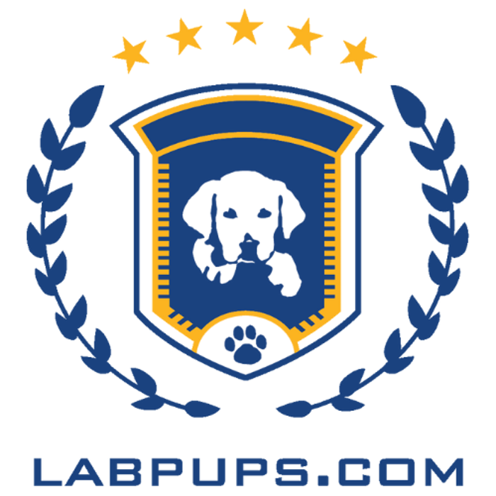 Labpups.com
