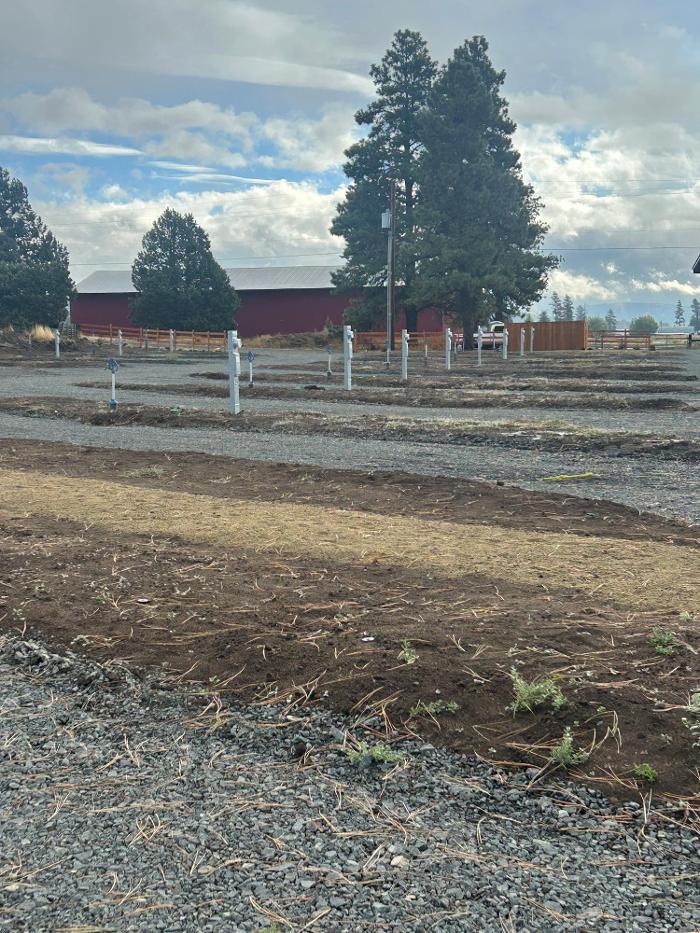 Pine Flats RV Park Image