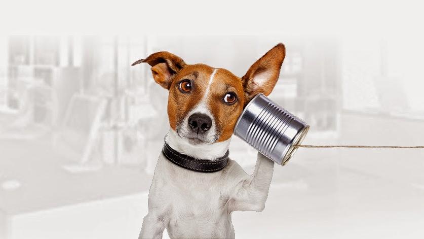 Shopware Agentur Web Labels: Full-Service Web Agentur, Am Markt in Bargteheide