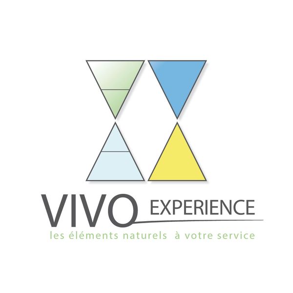 Vivo Experience