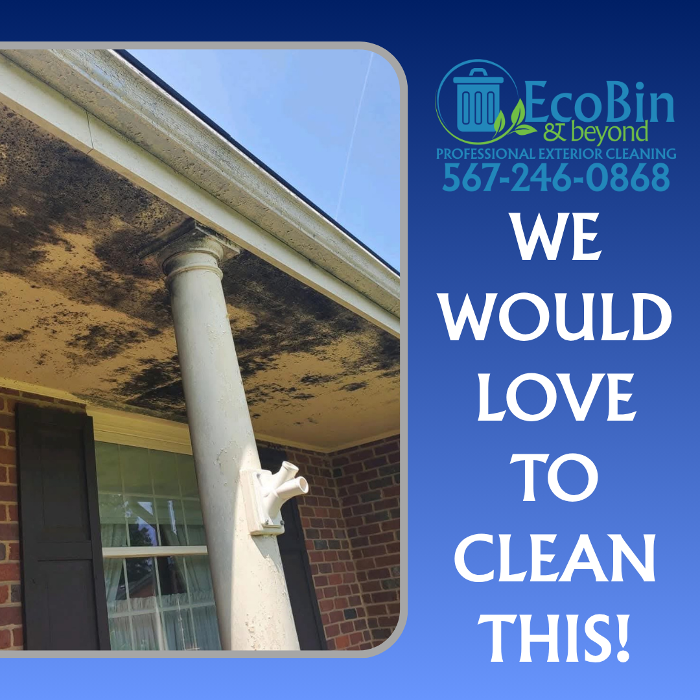 EcoBin & Beyond - Bryan, OH