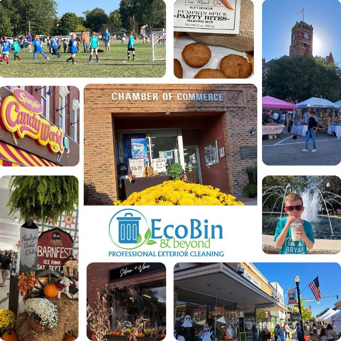 EcoBin & Beyond - Bryan, OH