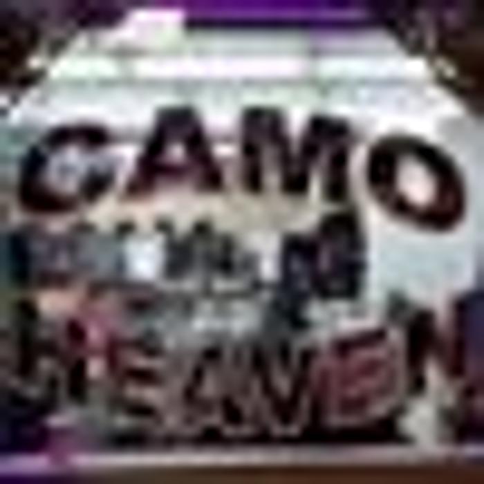 Camo Heaven - Pigeon Forge, TN