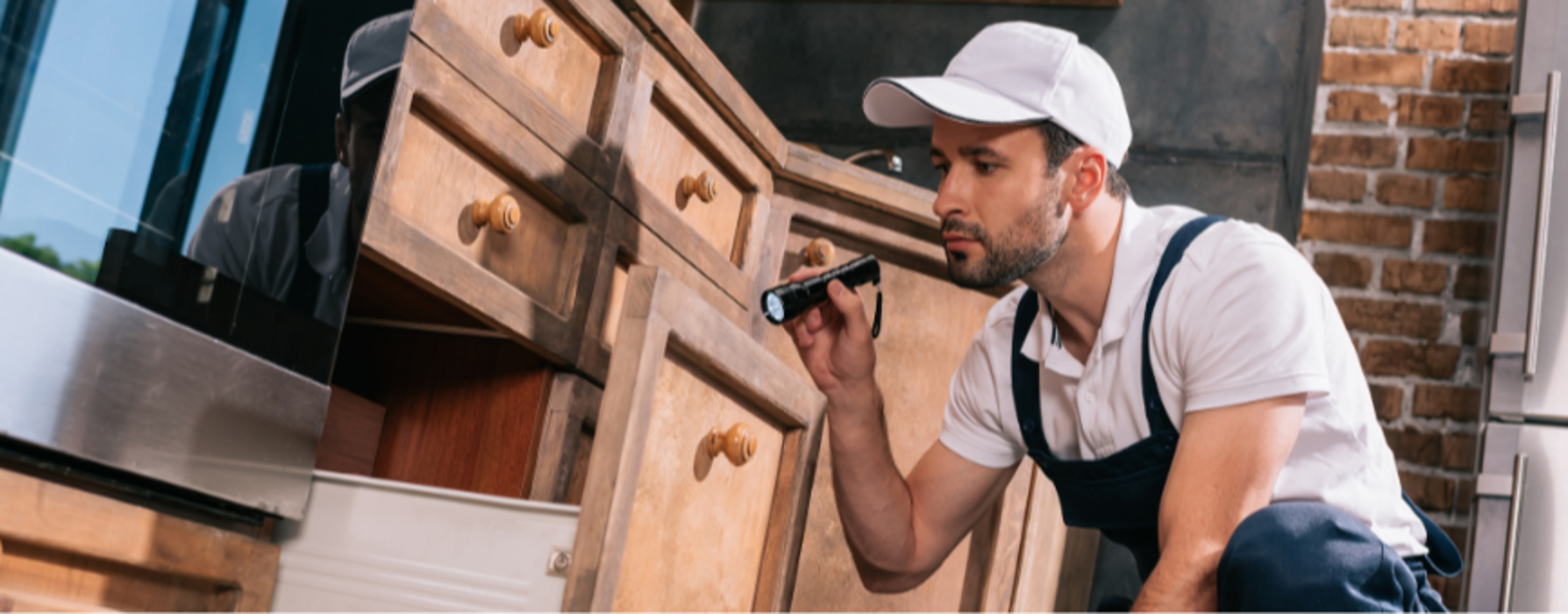 Bear Lake Handyman Services Logo