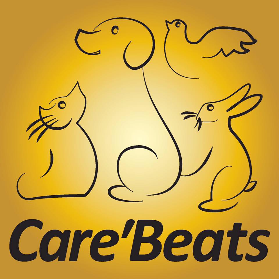 Animalerie Care'Beats dressage animal