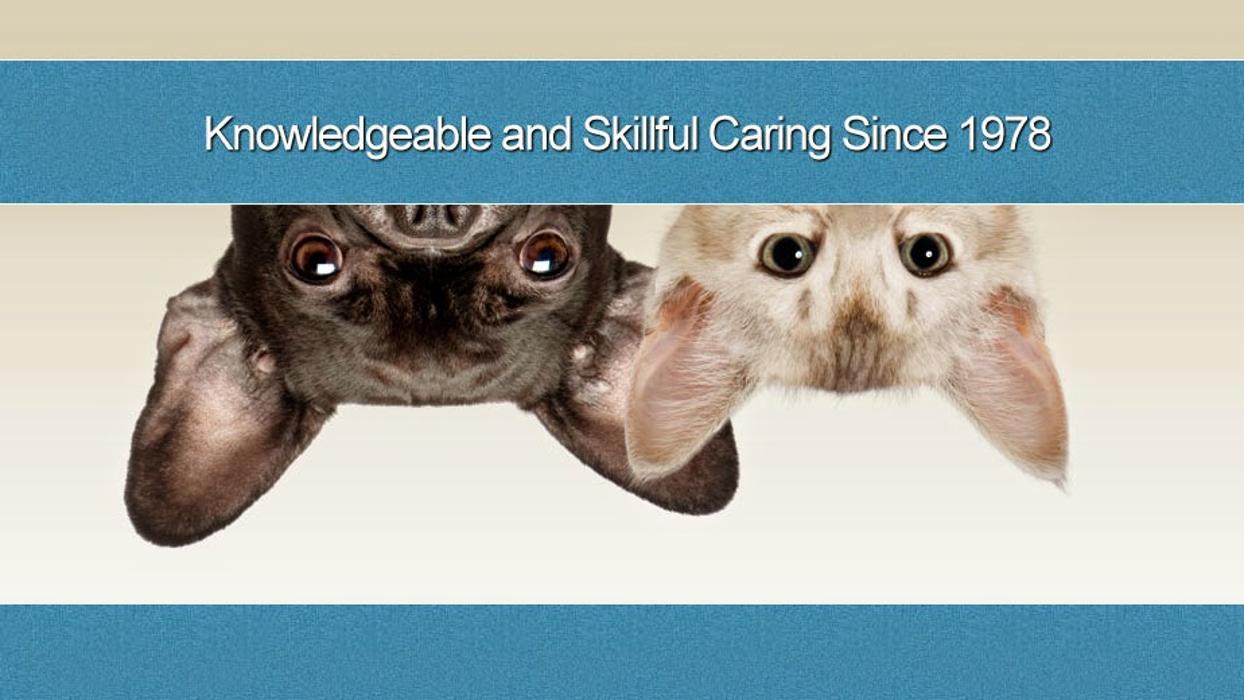 All Pets Medical and Surgical Center - Pomona, CA