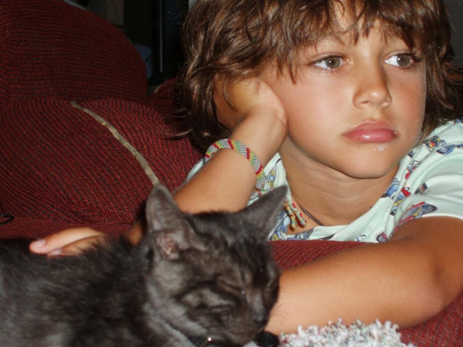 All Pets Medical and Surgical Center - Pomona, CA