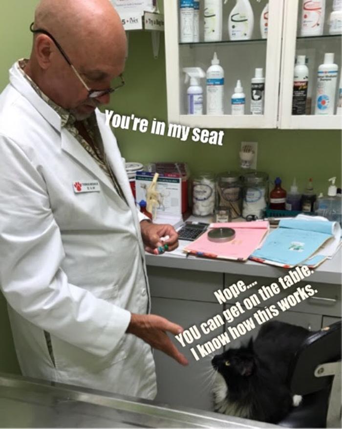 All Pets Medical and Surgical Center - Pomona, CA