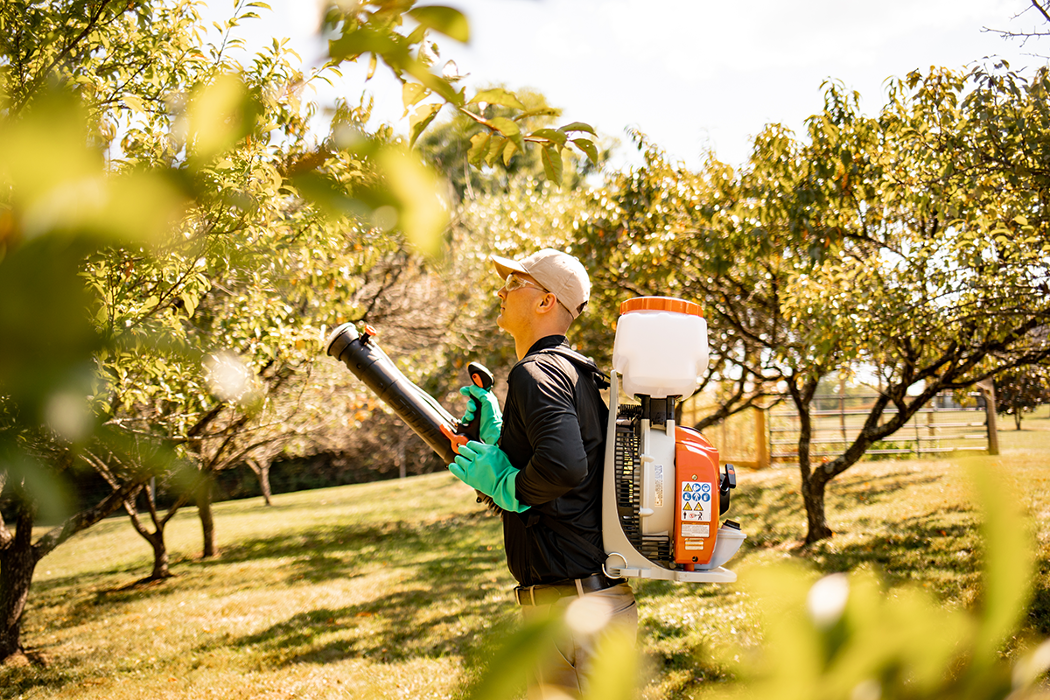 Mosquito Hero - Tewksbury, MA
