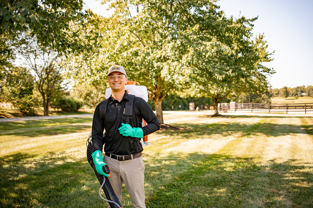 Mosquito Hero - Tewksbury, MA