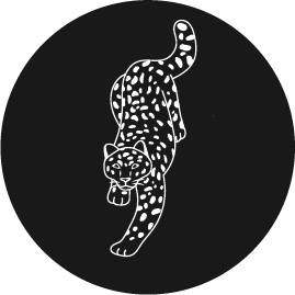 Circular Image
