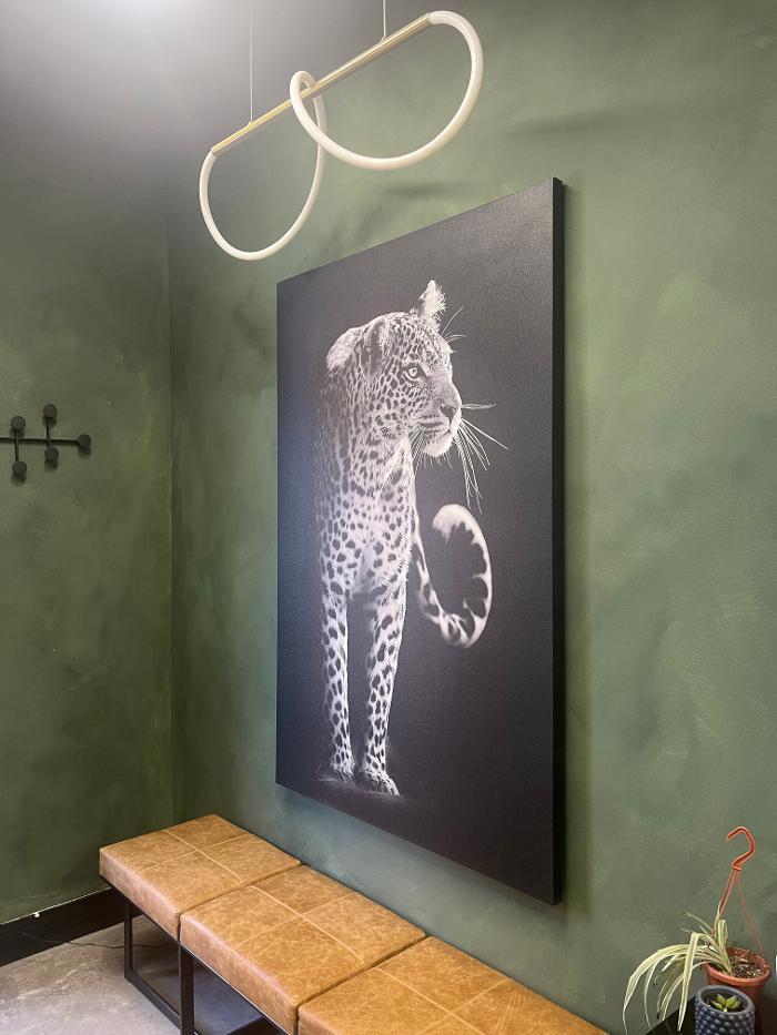 Snow Leopard Barbershop - Denver Image