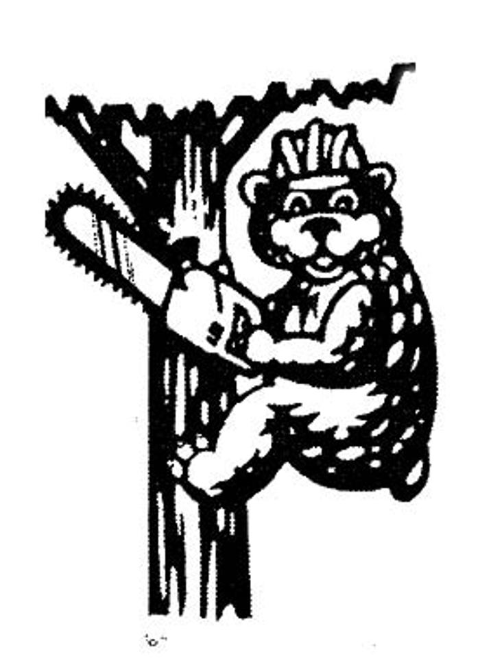 Bear's Insured Tree Service Image