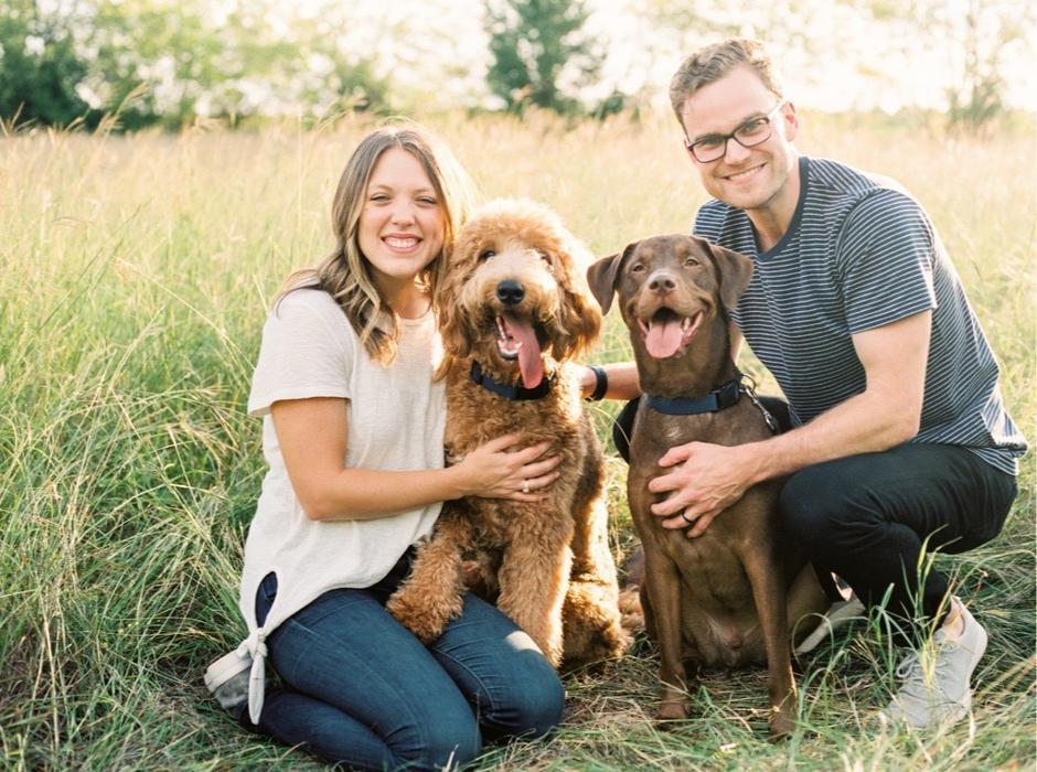Mini Goldendoodle from HAP - all grown up
