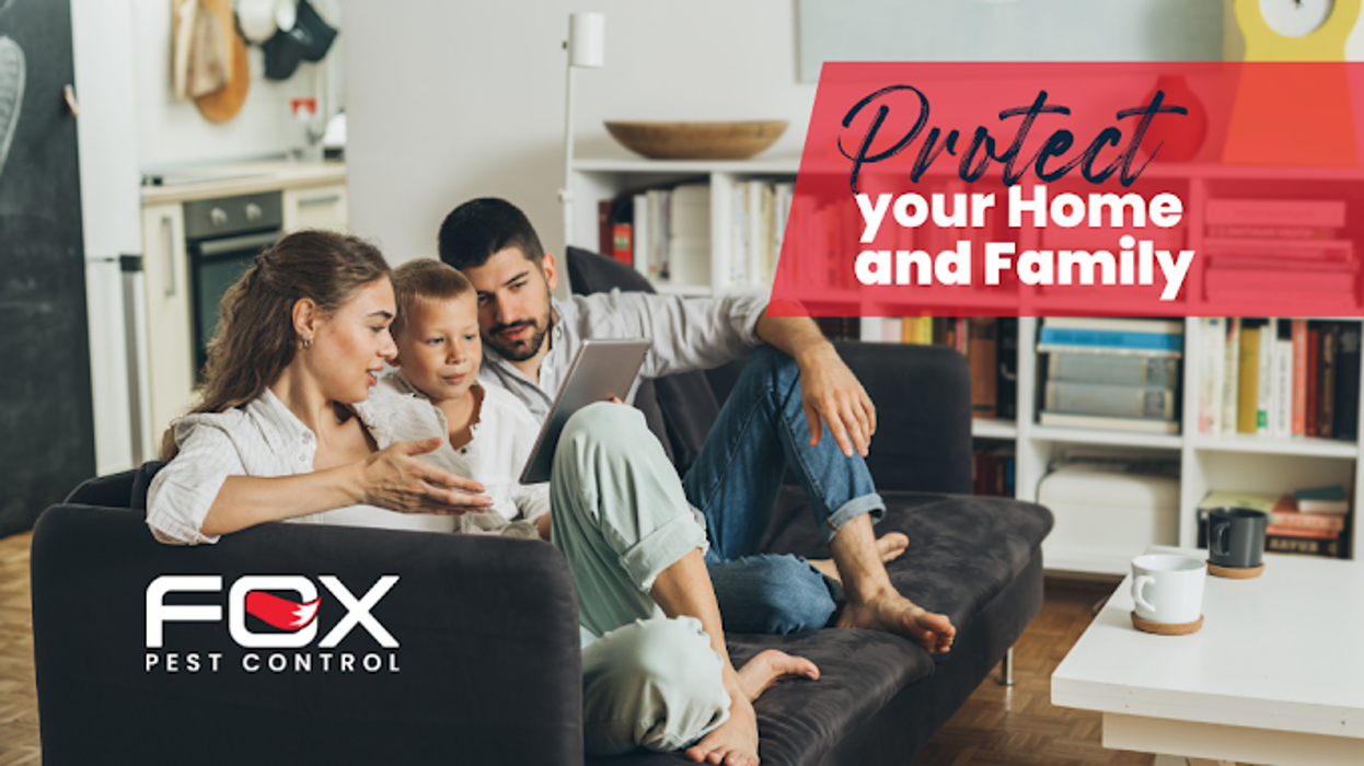 Fox Pest Control Rockford - Rockford, IL