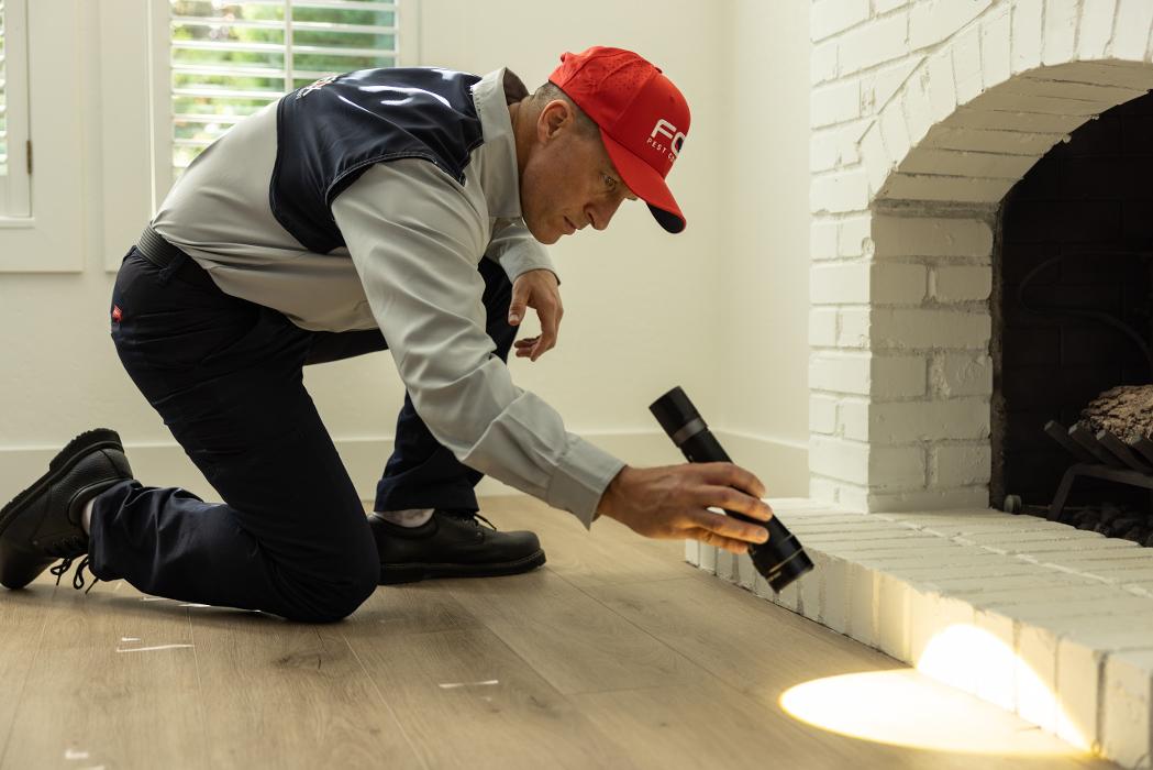 Fox Pest Control Rockford - Rockford, IL