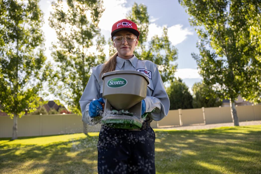 Fox Pest Control Rockford - Rockford, IL