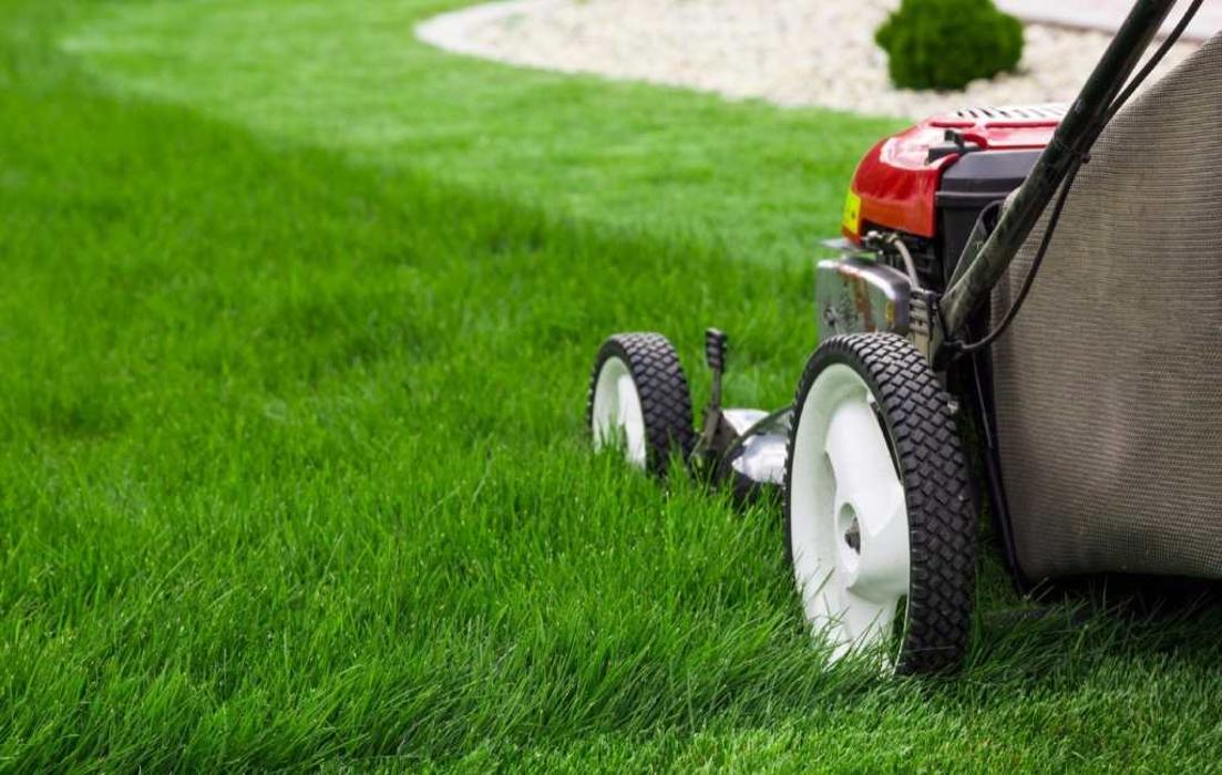 Legendary Landscaping Inc. Image