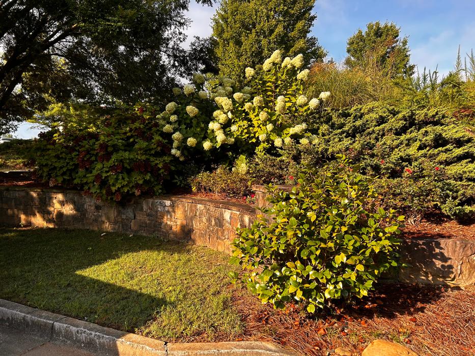 Legendary Landscaping Inc. Image