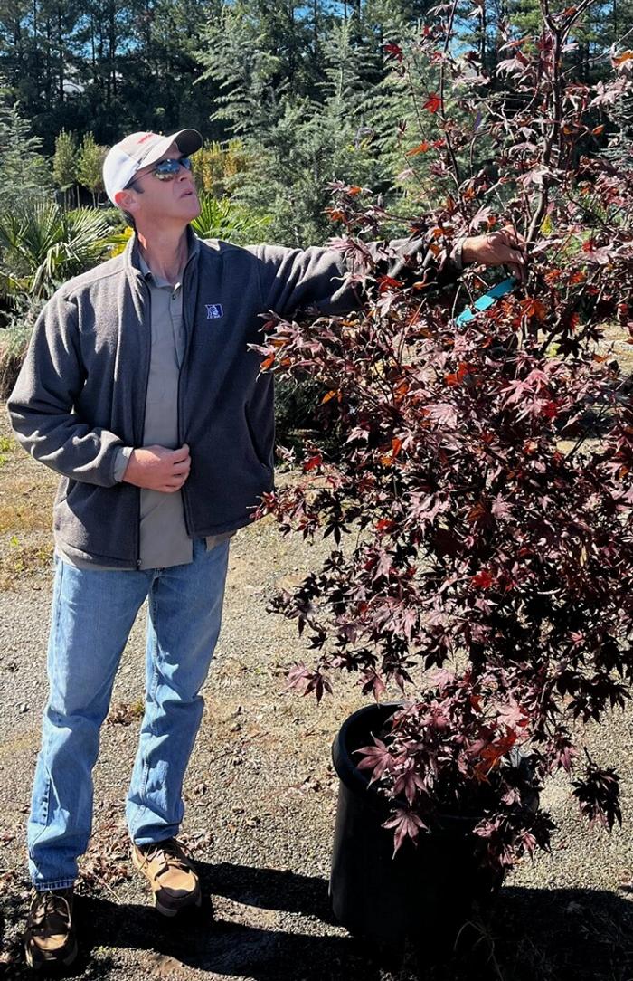 Legendary Landscaping Inc. Image