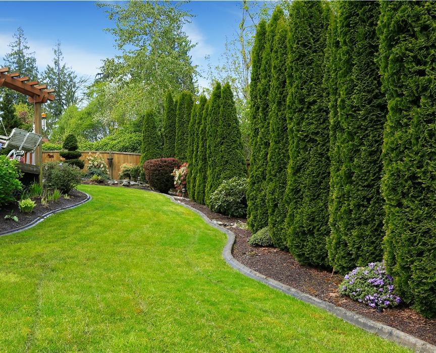 Legendary Landscaping Inc. Image