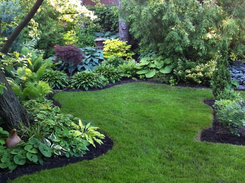 Legendary Landscaping Inc. Image