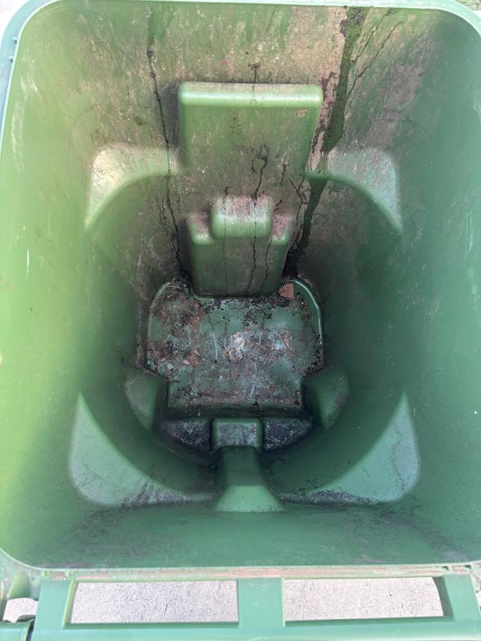 Samz Binz Cleaning Image