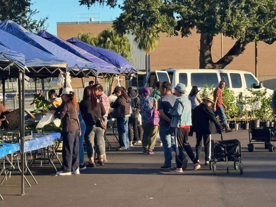 Tampa Asian Farmer & Night Market - Tampa, FL