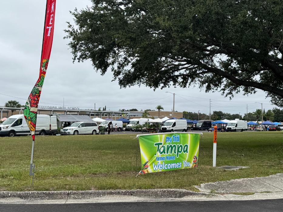 Tampa Asian Farmer & Night Market - Tampa, FL