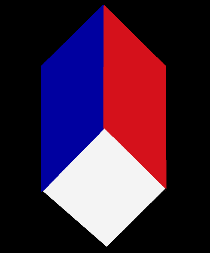 TriTech Services LLC