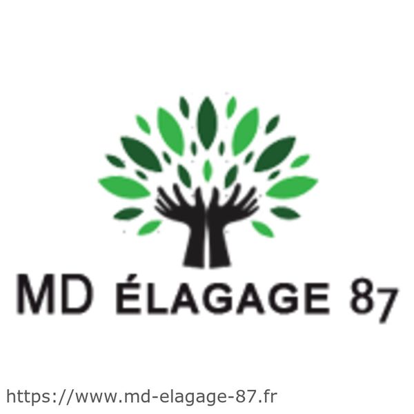 MD Elagage 87 Expert