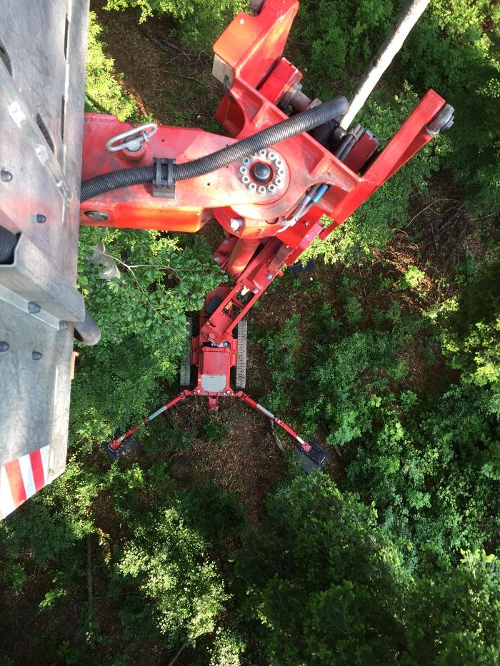 Arbeitsbühnen Seeger GmbH, Graf-Zeppelin-Straße in Nagold