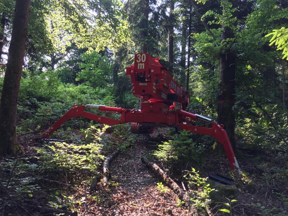 Arbeitsbühnen Seeger GmbH, Graf-Zeppelin-Straße in Nagold
