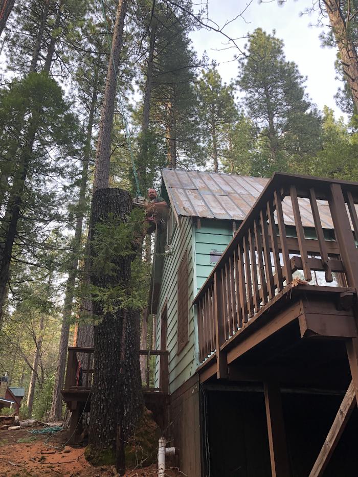 Timmerman Tree Service Image