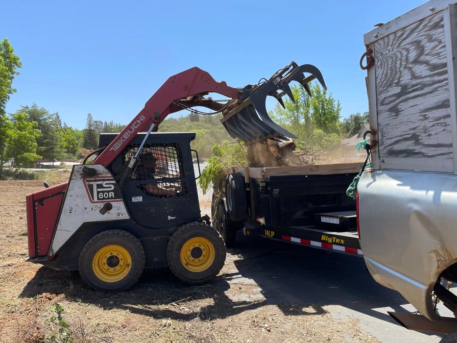 Timmerman Tree Service Image