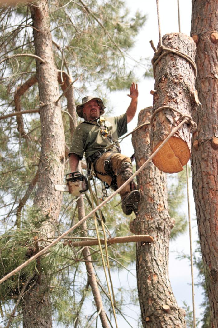 Timmerman Tree Service Image