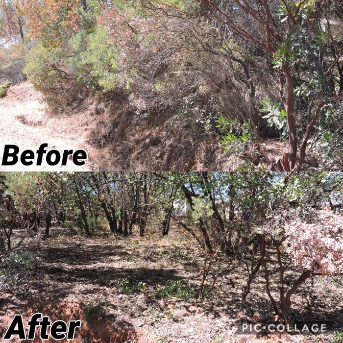 Timmerman Tree Service Image