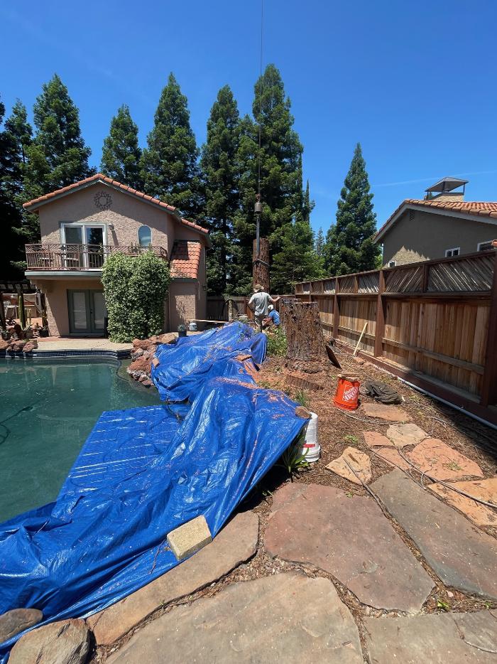 Timmerman Tree Service Image