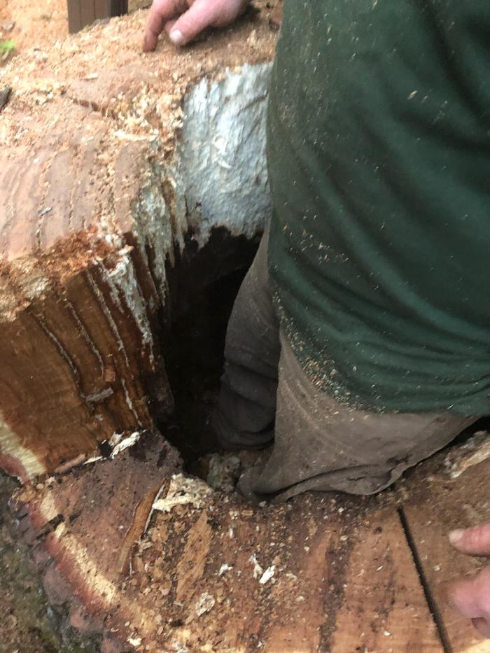 Timmerman Tree Service Image