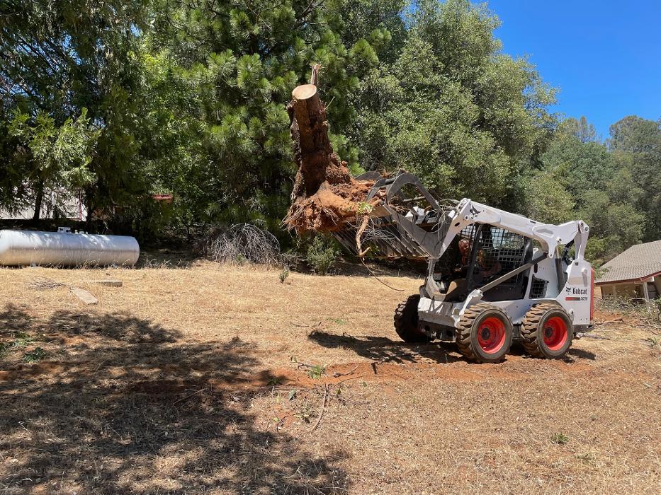 Timmerman Tree Service Image