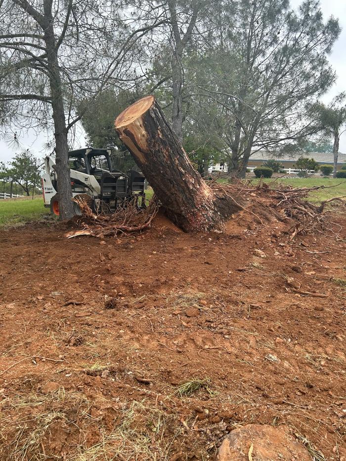 Timmerman Tree Service Image