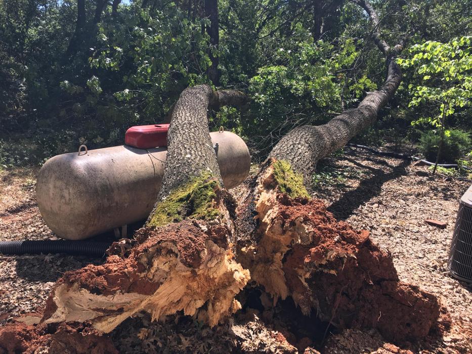 Timmerman Tree Service Image