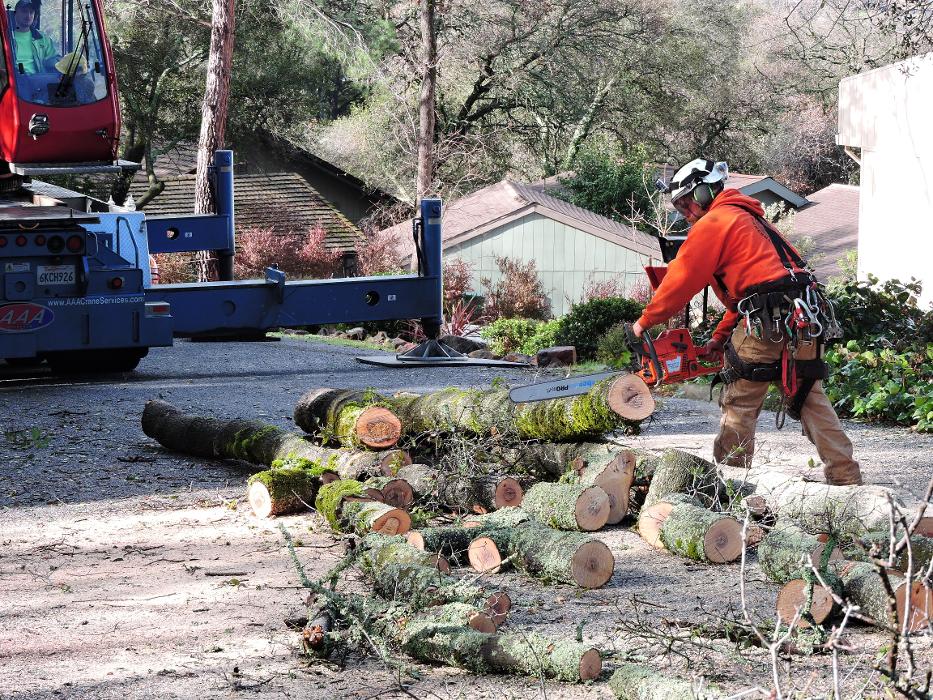 Timmerman Tree Service Image