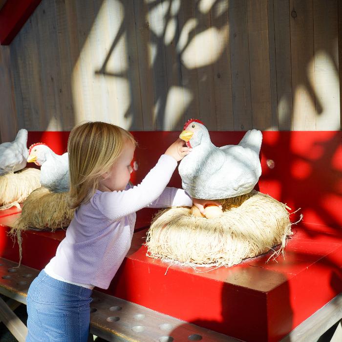 Scott Family Amazeum Logo